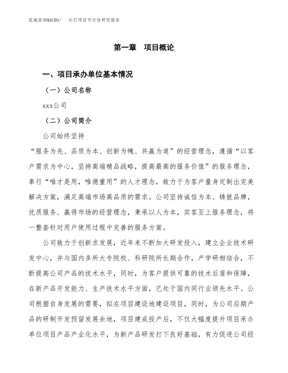 头灯项目可行性研究报告（总投资9000万元）（38亩）_第3页