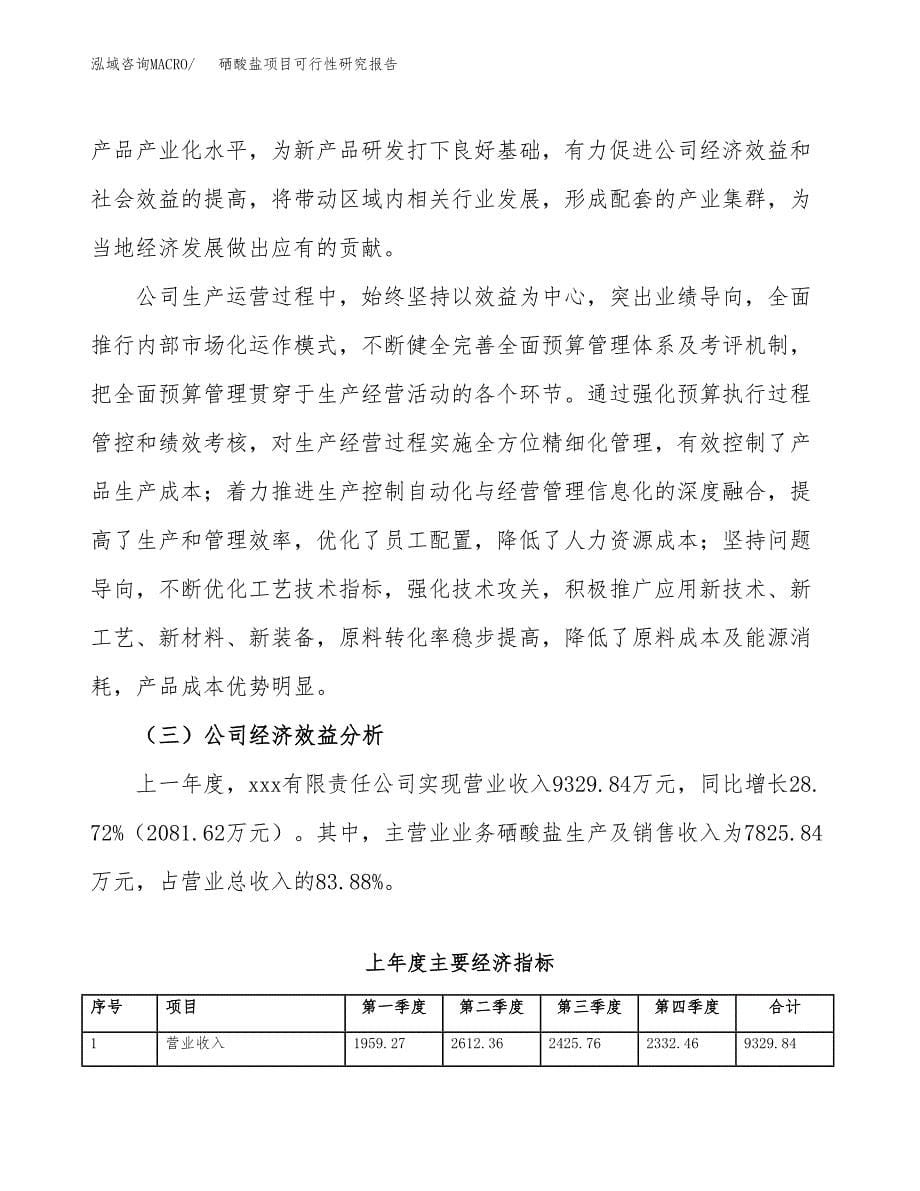 硒酸盐项目可行性研究报告（总投资10000万元）（50亩）_第5页