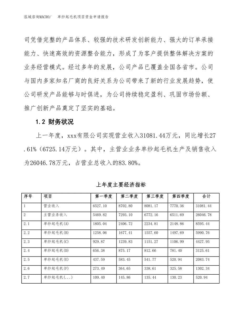 单纱起毛机项目资金申请报告.docx_第5页