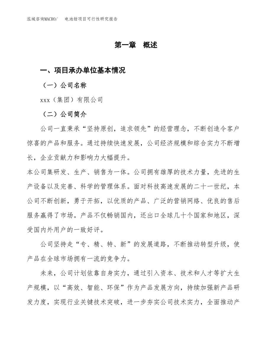 电池钳项目可行性研究报告（总投资6000万元）（24亩）_第5页