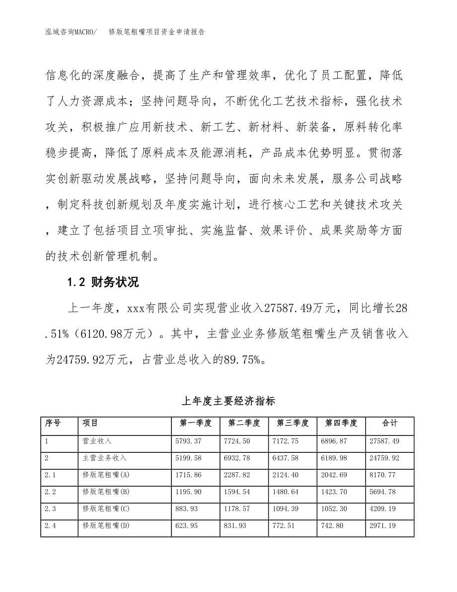 修版笔粗嘴项目资金申请报告.docx_第5页