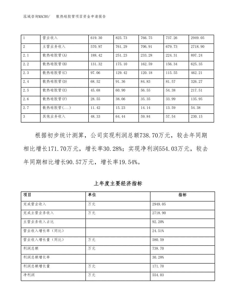 散热硅胶管项目资金申请报告.docx_第5页