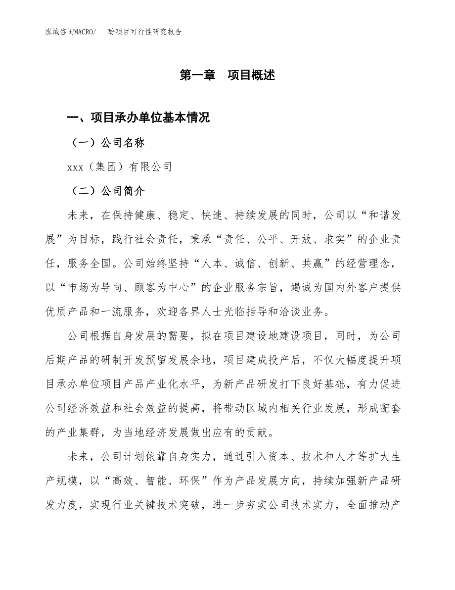 酚项目可行性研究报告（总投资6000万元）（28亩）_第4页