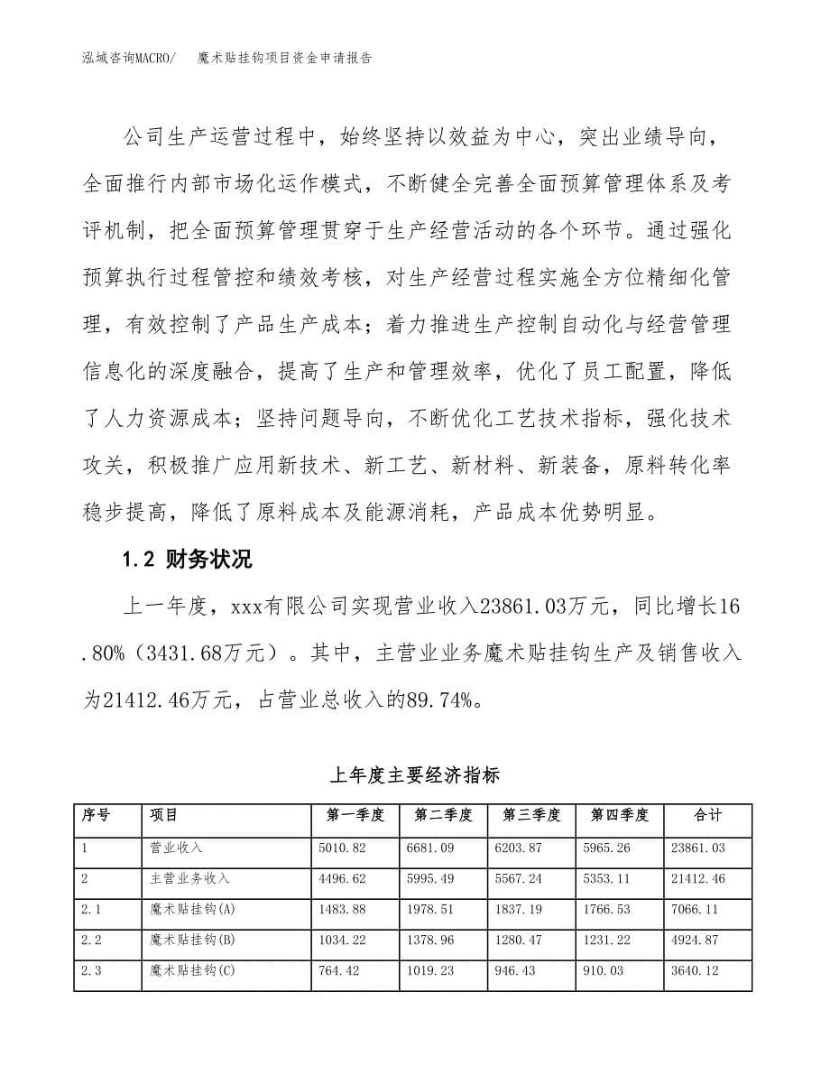 魔术贴挂钩项目资金申请报告.docx_第5页