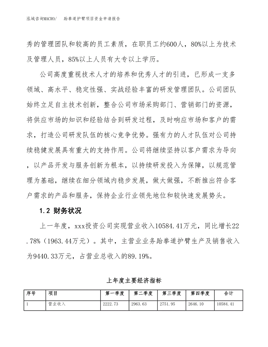 跆拳道护臂项目资金申请报告.docx_第4页