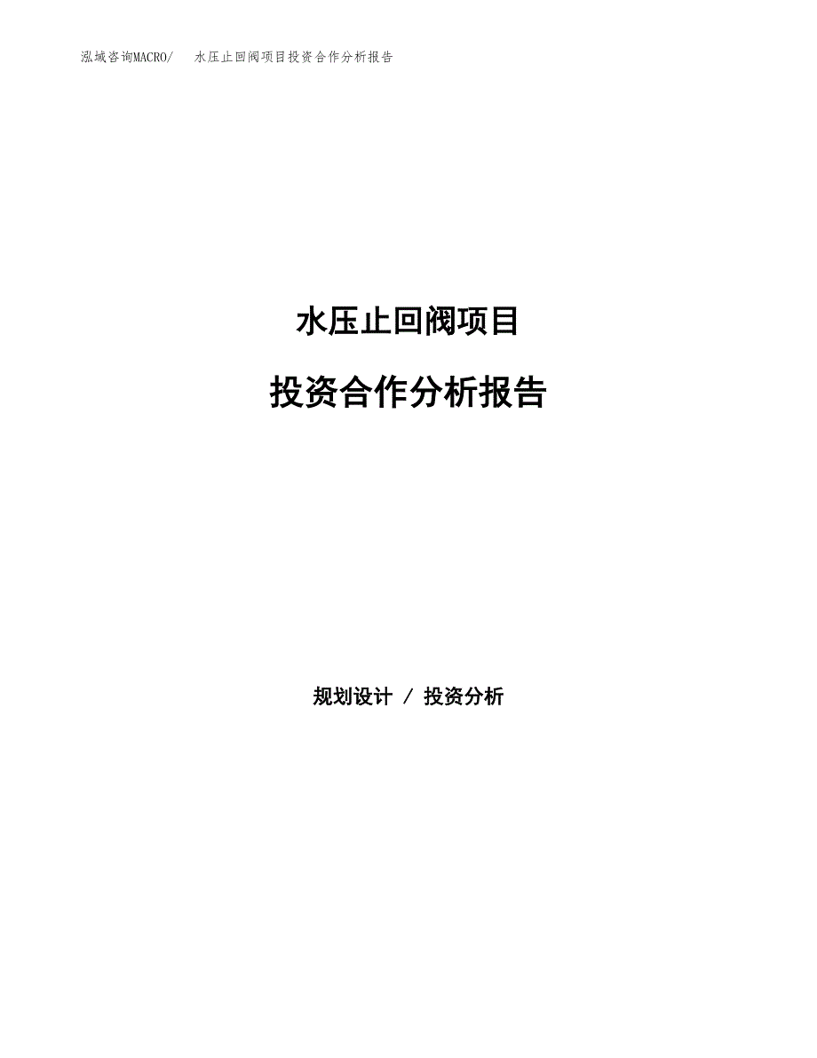 水压止回阀项目投资合作分析报告.docx_第1页