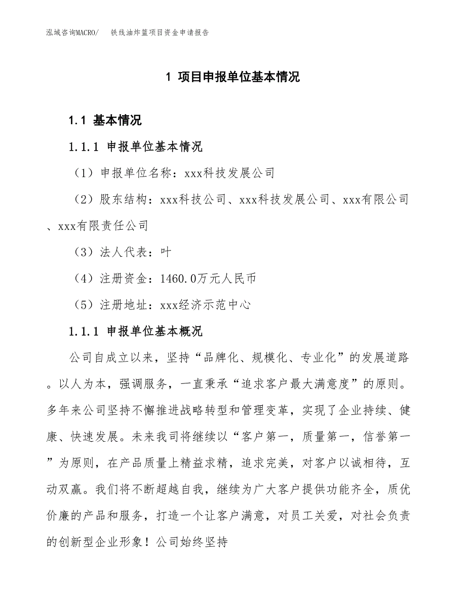 铁线油炸篮项目资金申请报告.docx_第3页