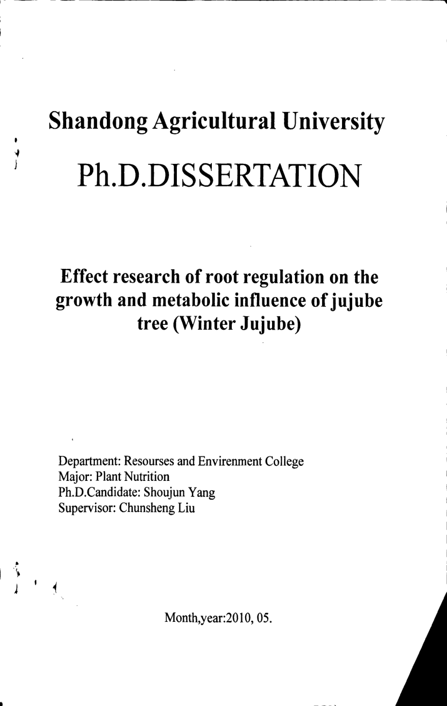 根系调控对枣树冬枣生长及代谢影响的效应研究_第1页