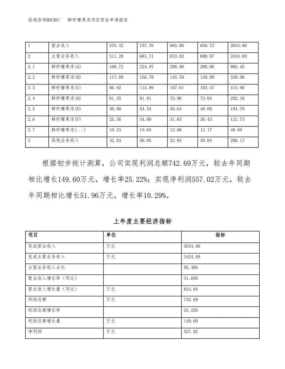 鲜柠檬果冻项目资金申请报告.docx_第5页