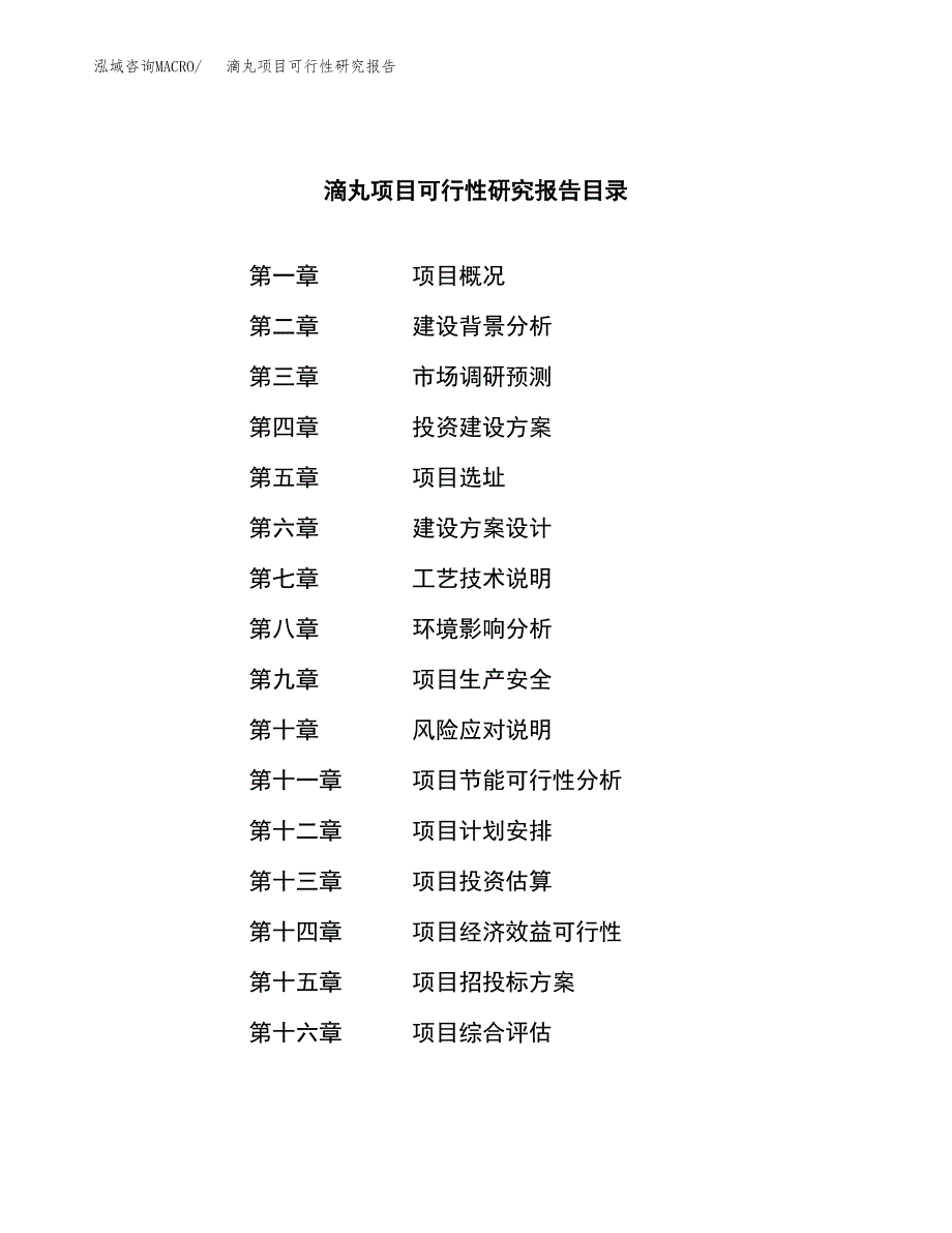 滴丸项目可行性研究报告（总投资21000万元）（84亩）_第3页