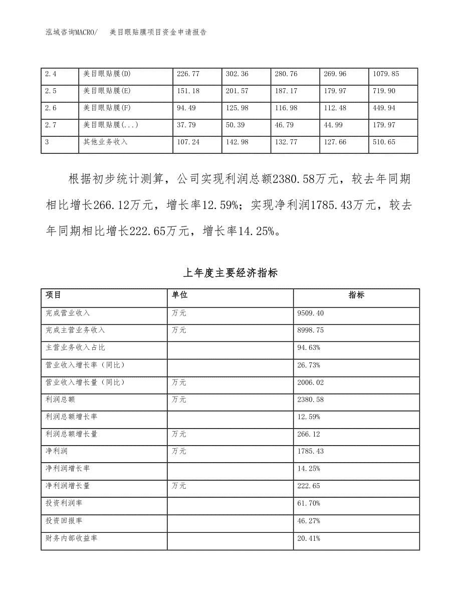 美目眼贴膜项目资金申请报告.docx_第5页