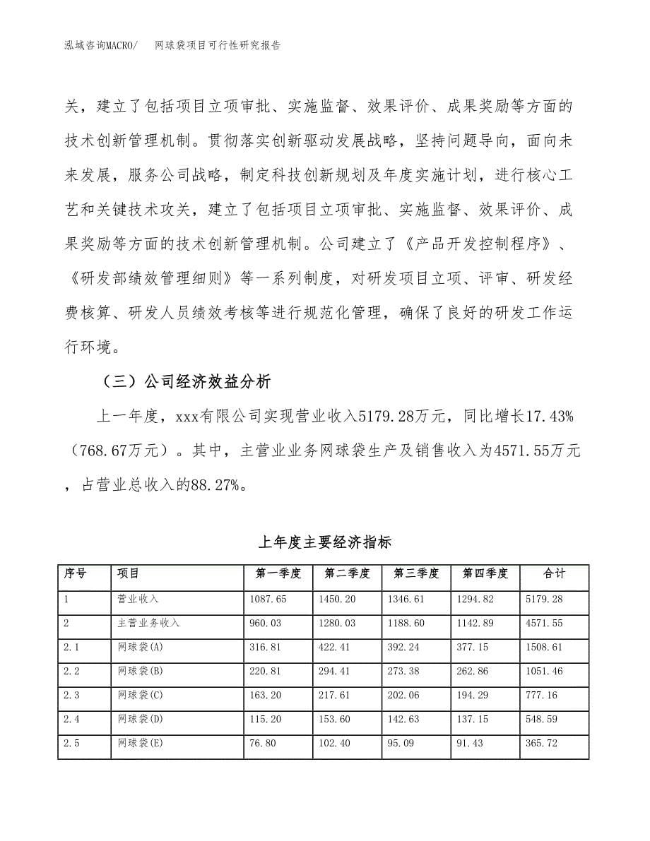 网球袋项目可行性研究报告（总投资3000万元）（12亩）_第5页