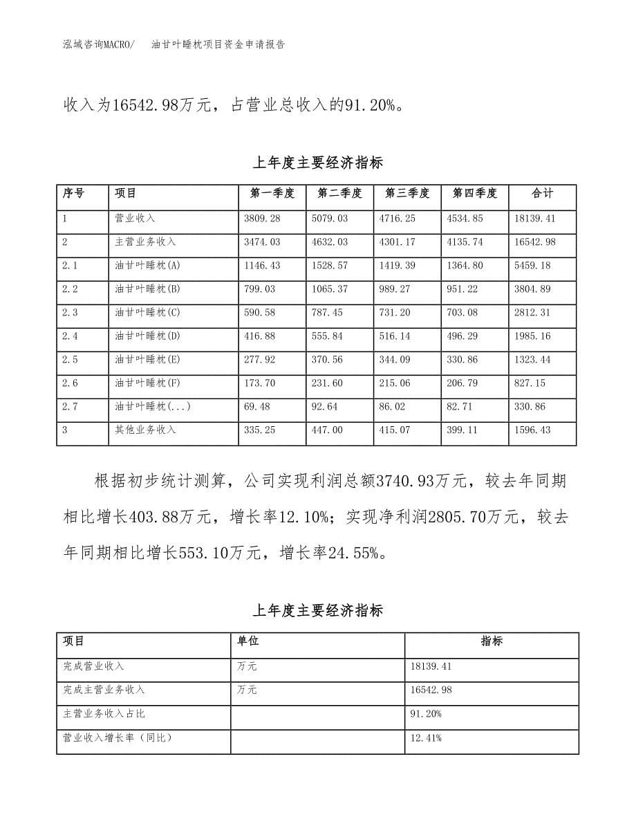 油甘叶睡枕项目资金申请报告.docx_第5页