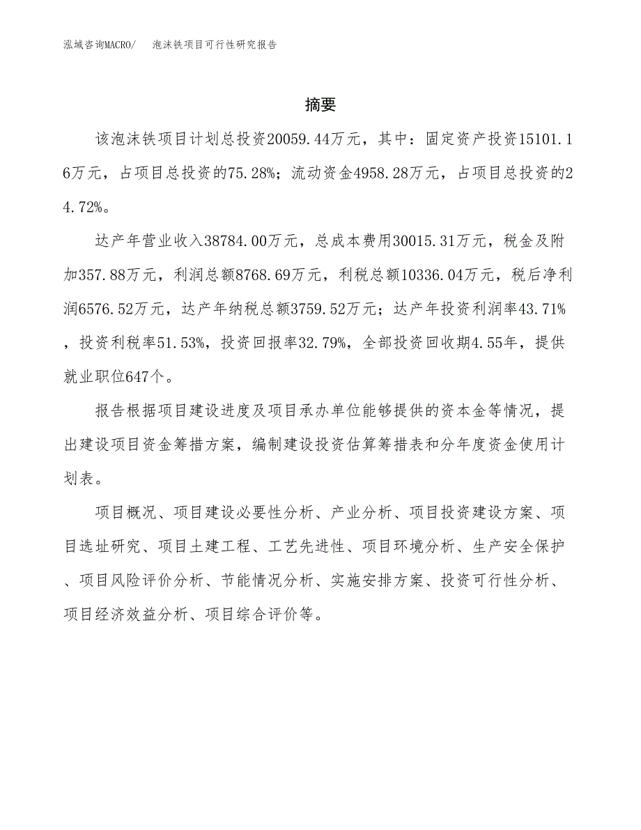 泡沫铁项目可行性研究报告（总投资20000万元）（80亩）_第2页