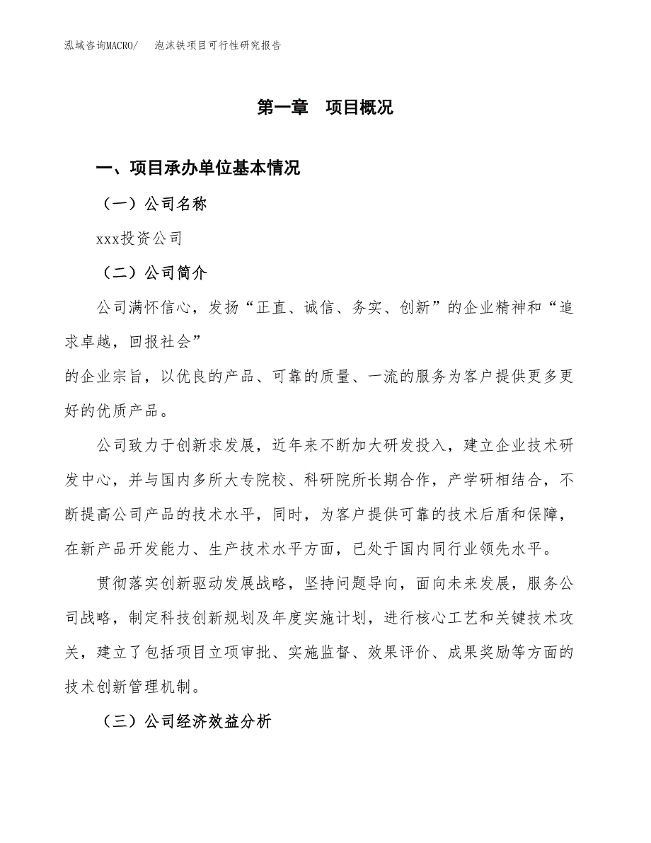 泡沫铁项目可行性研究报告（总投资20000万元）（80亩）_第4页