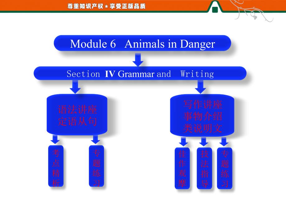 Module6 Section Ⅳ Grammar and Writing_第1页