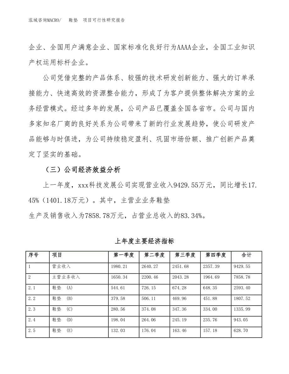 鞋垫　项目可行性研究报告（总投资14000万元）（65亩）_第5页