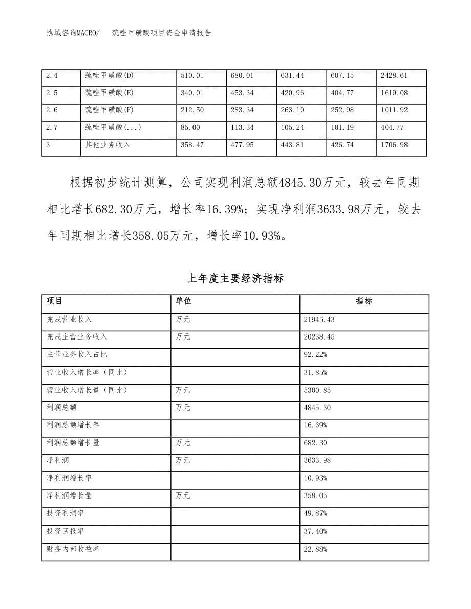 巯唑甲磺酸项目资金申请报告.docx_第5页