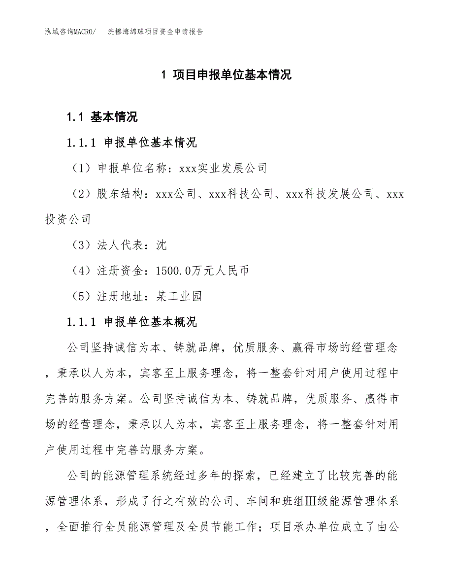 洗擦海绵球项目资金申请报告.docx_第3页