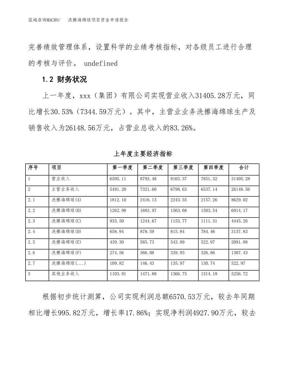 洗擦海绵球项目资金申请报告.docx_第5页