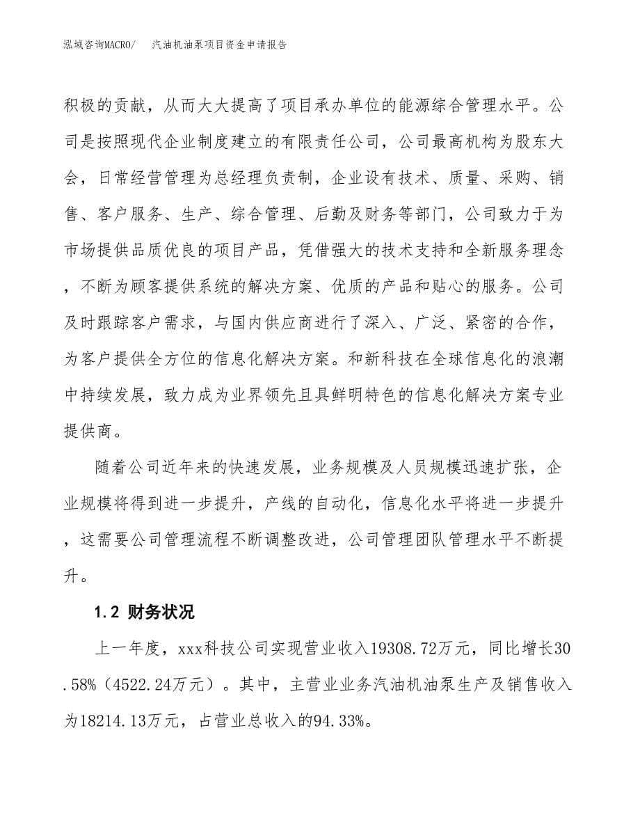 汽油机油泵项目资金申请报告.docx_第5页