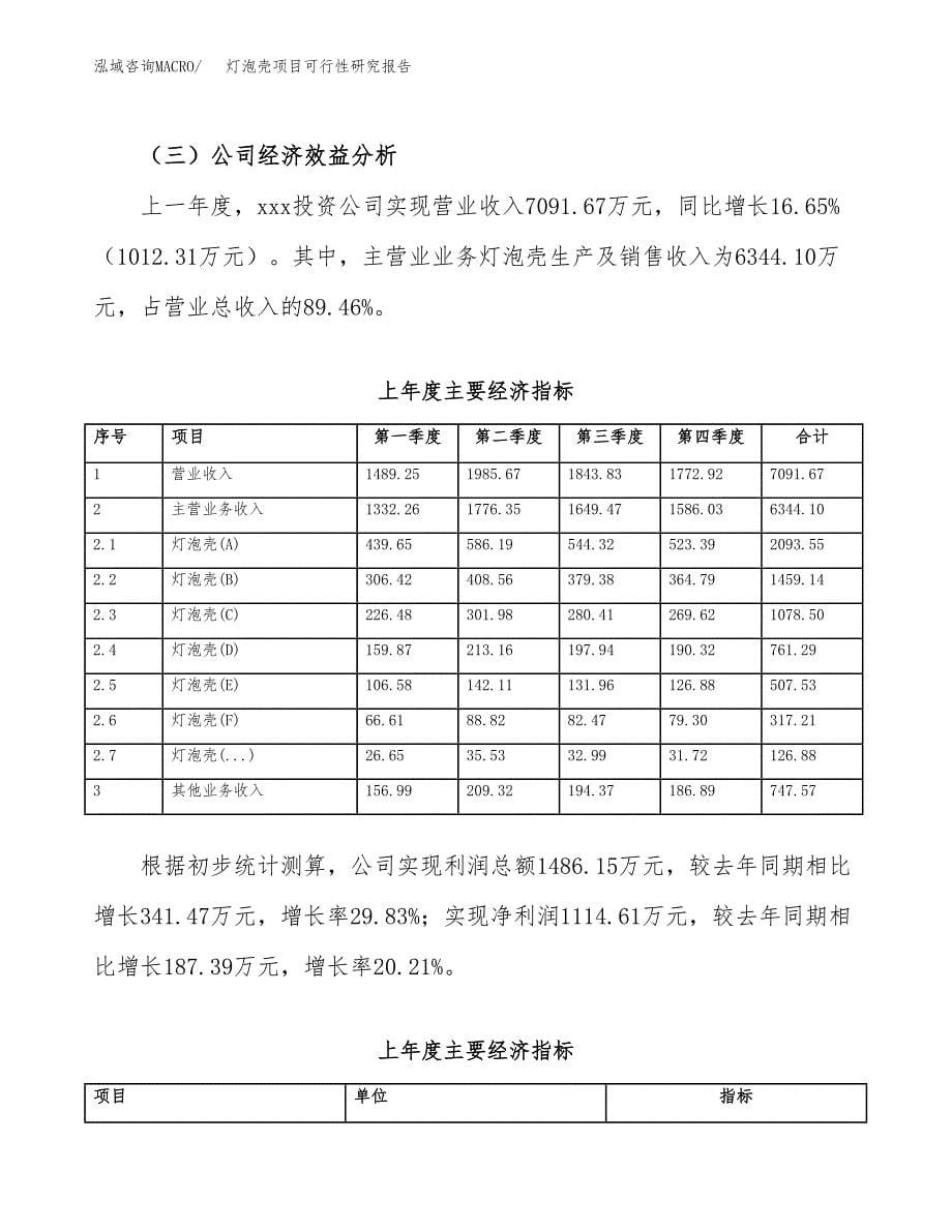 灯泡壳项目可行性研究报告（总投资11000万元）（53亩）_第5页