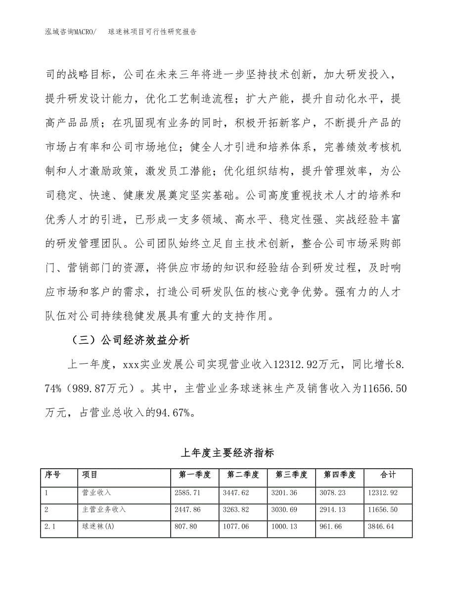 球迷袜项目可行性研究报告（总投资9000万元）（37亩）_第5页