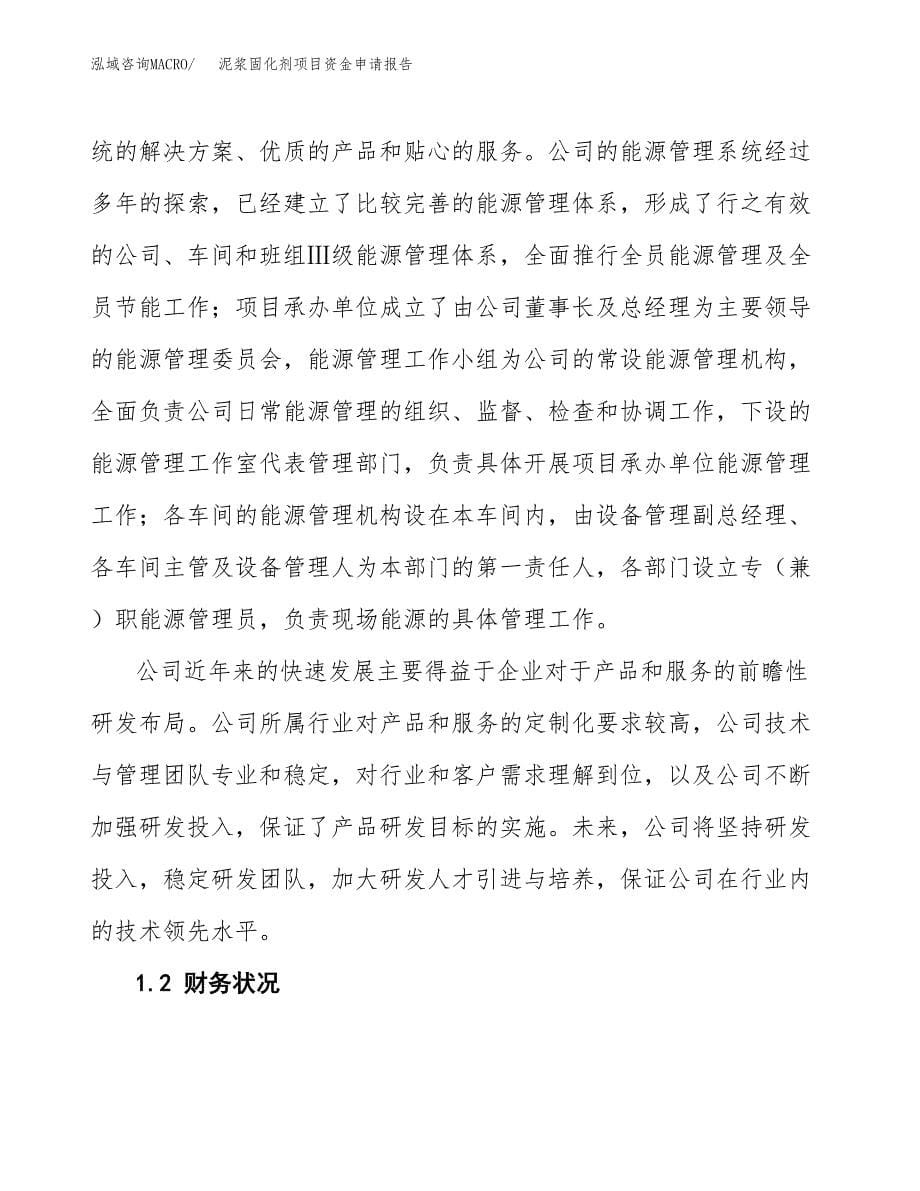 泥浆固化剂项目资金申请报告.docx_第5页