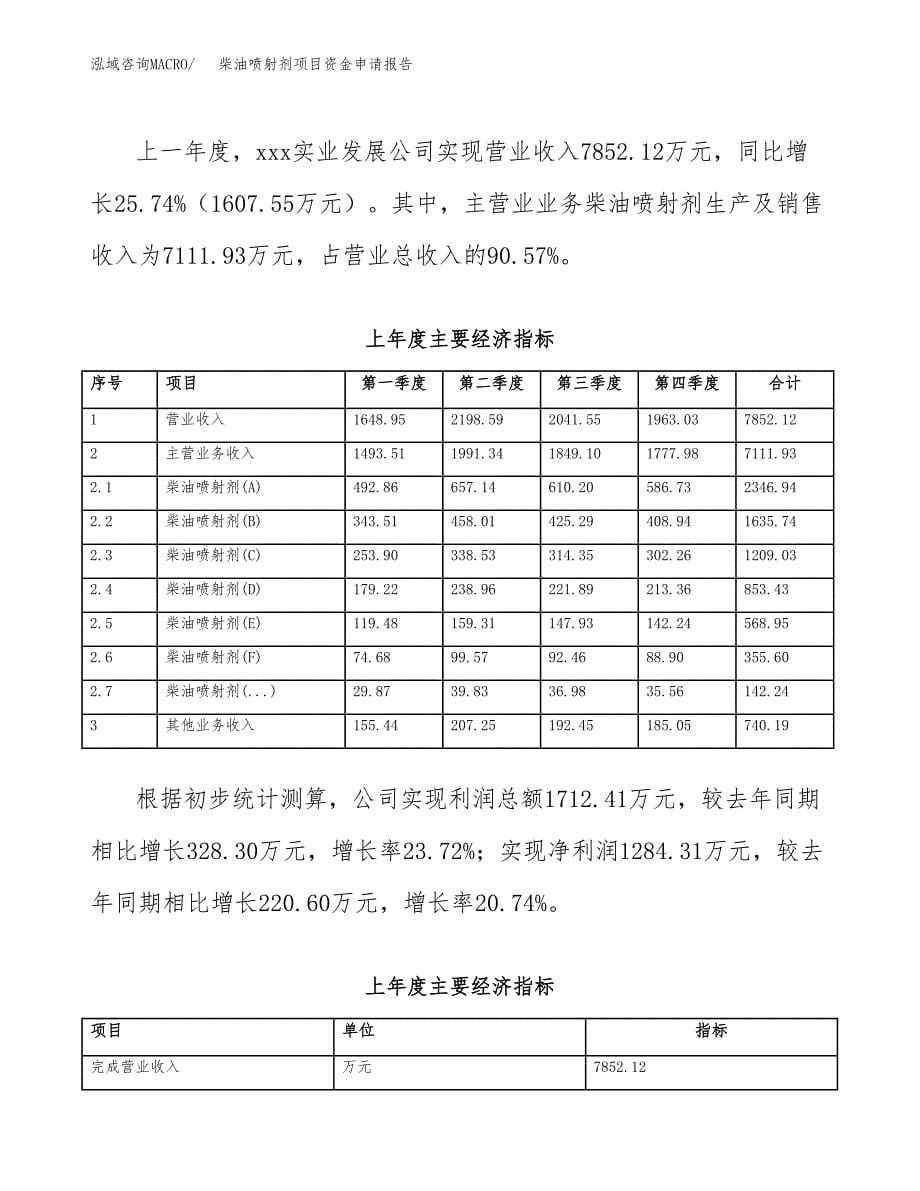 柴油喷射剂项目资金申请报告.docx_第5页