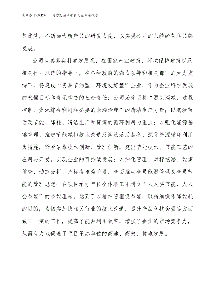 迷你奶油球项目资金申请报告.docx_第4页