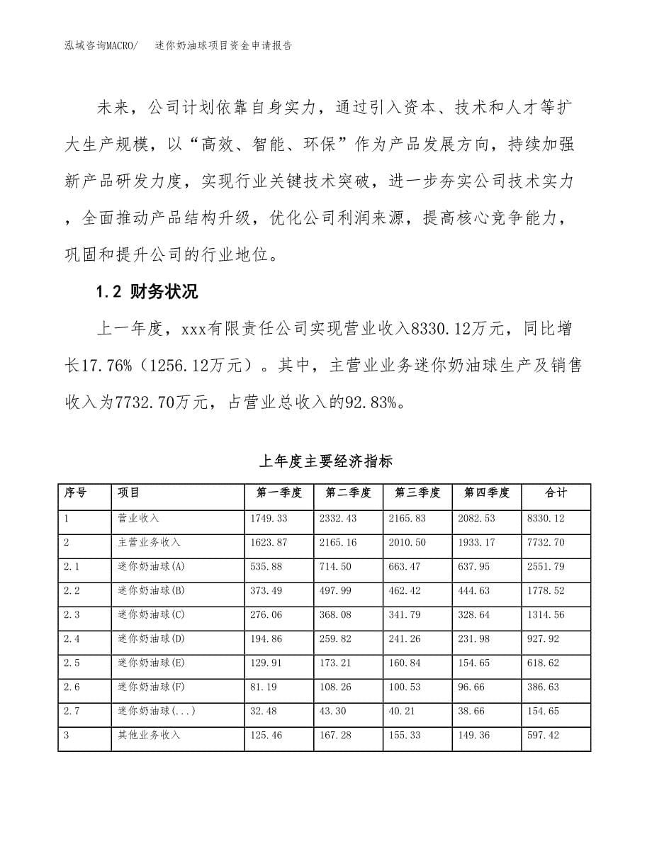 迷你奶油球项目资金申请报告.docx_第5页