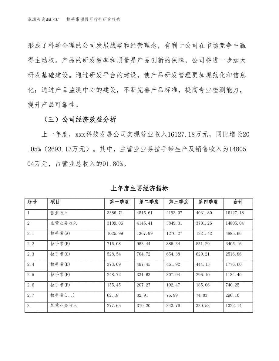 拉手带项目可行性研究报告（总投资11000万元）（50亩）_第5页