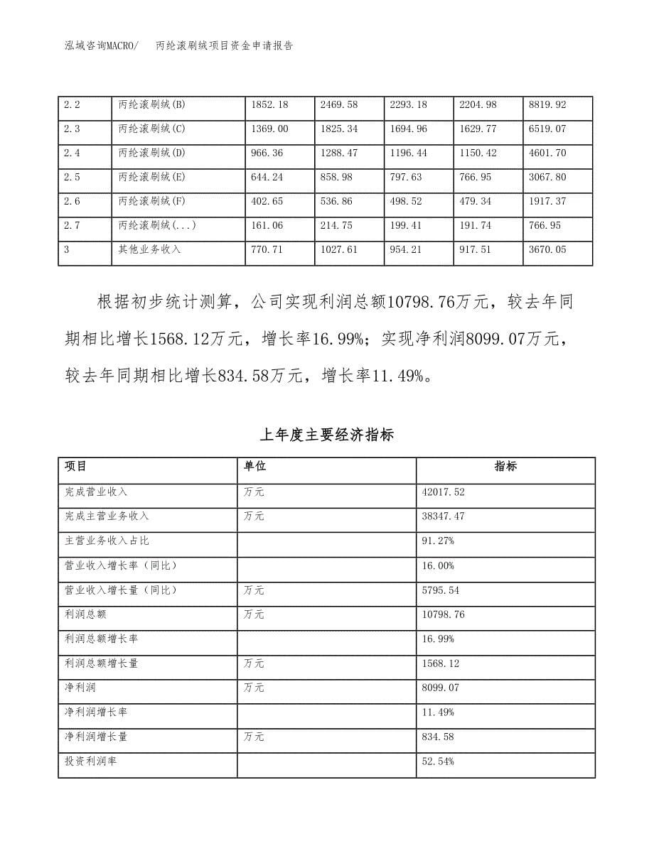 丙纶滚刷绒项目资金申请报告.docx_第5页