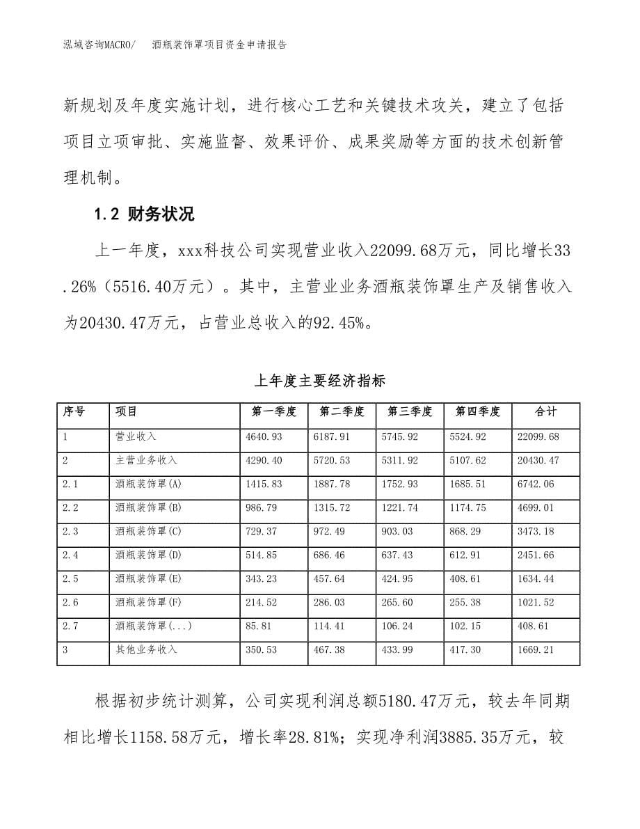 酒瓶装饰罩项目资金申请报告.docx_第5页