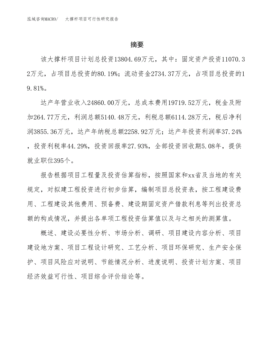 大撑杆项目可行性研究报告（总投资14000万元）（67亩）_第2页