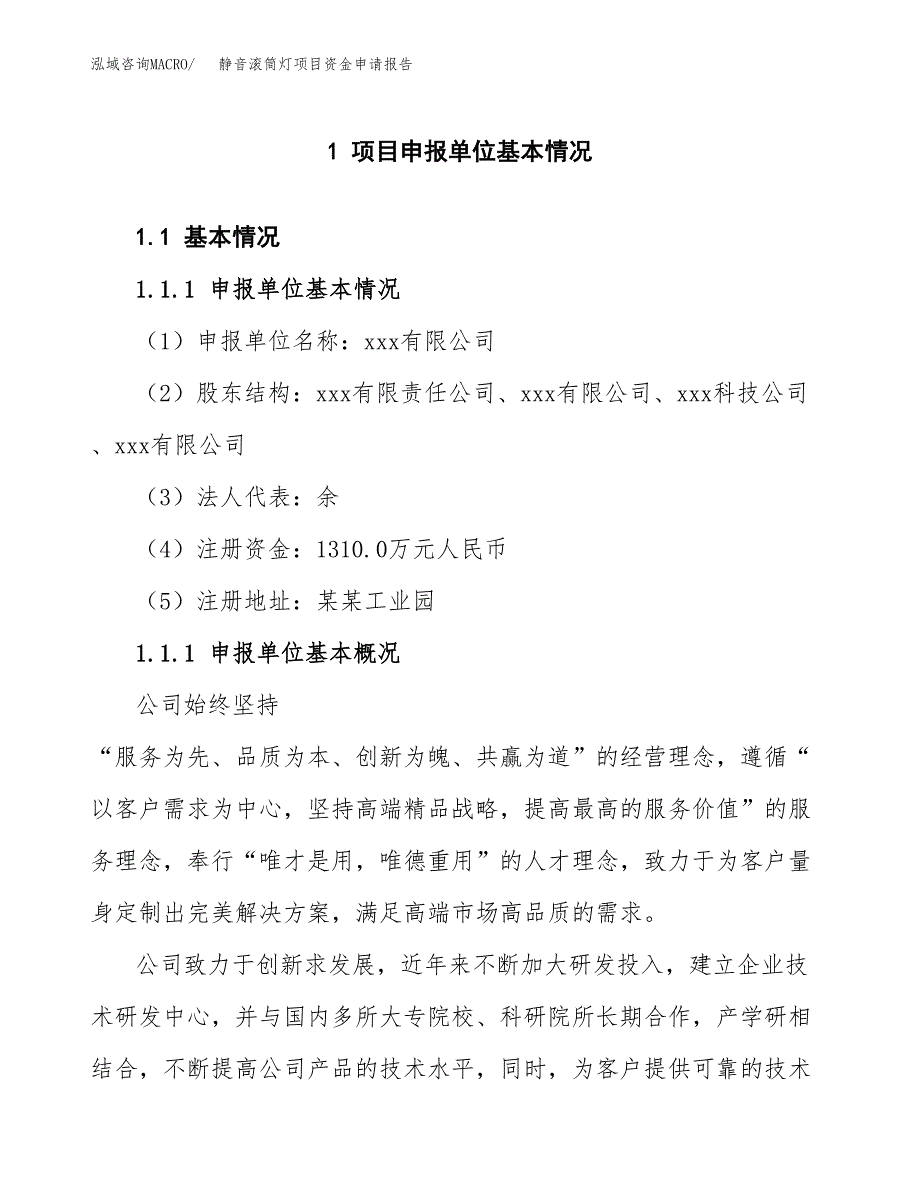 静音滚筒灯项目资金申请报告.docx_第3页