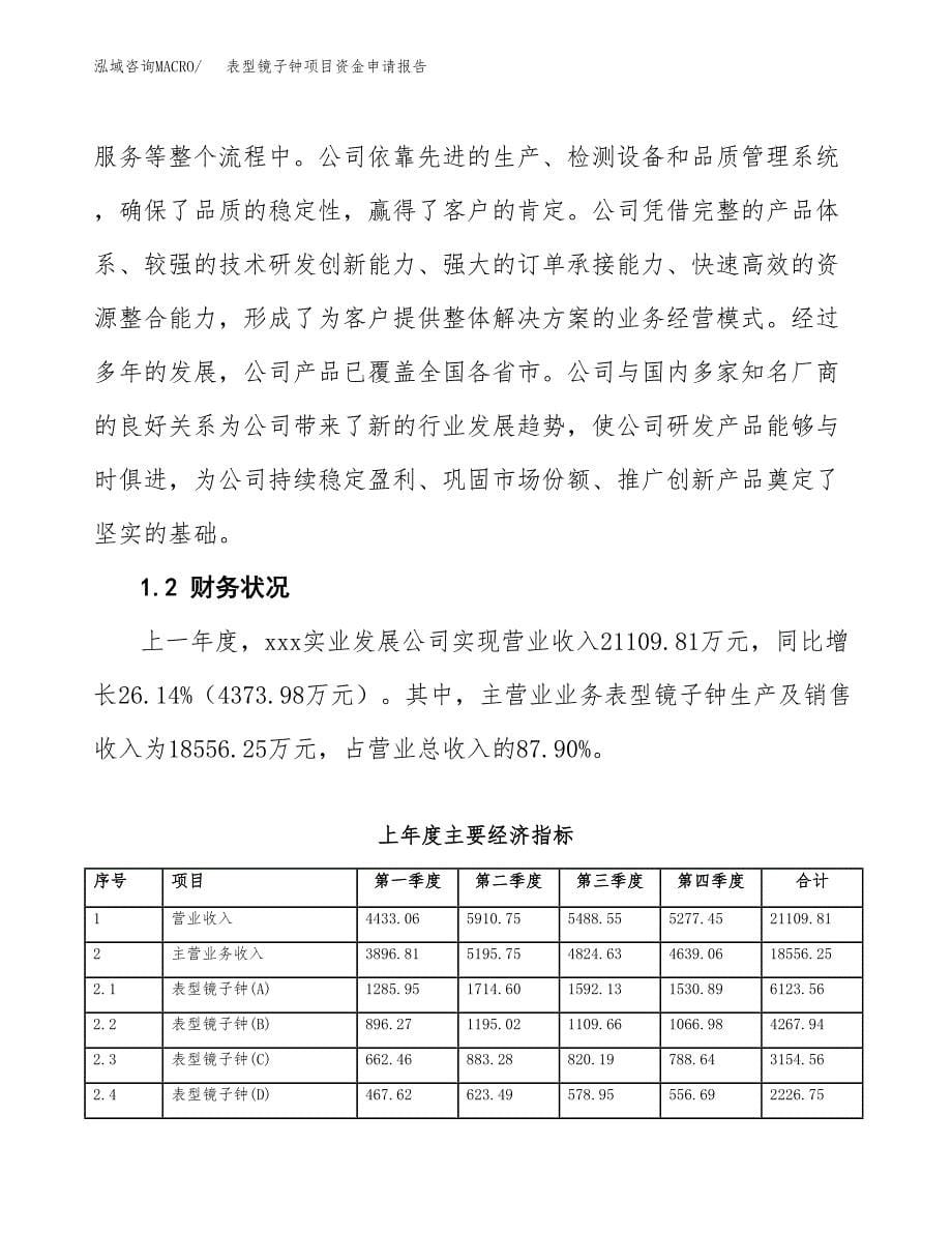 表型镜子钟项目资金申请报告.docx_第5页