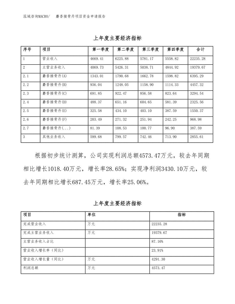 麝香接骨丹项目资金申请报告.docx_第5页