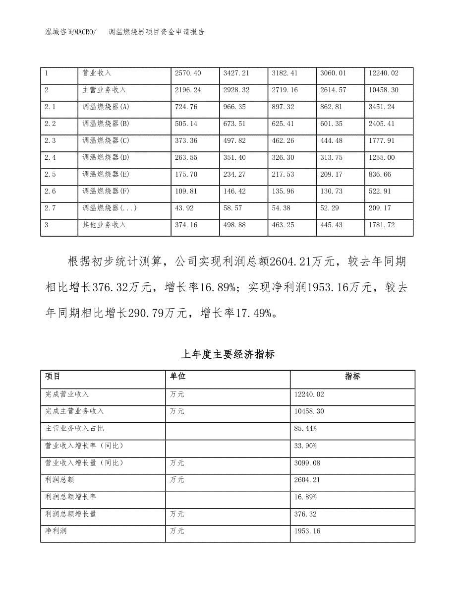 调温燃烧器项目资金申请报告.docx_第5页