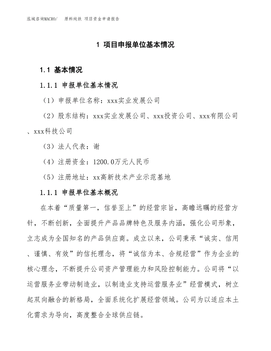 原料纯铁 项目资金申请报告.docx_第3页