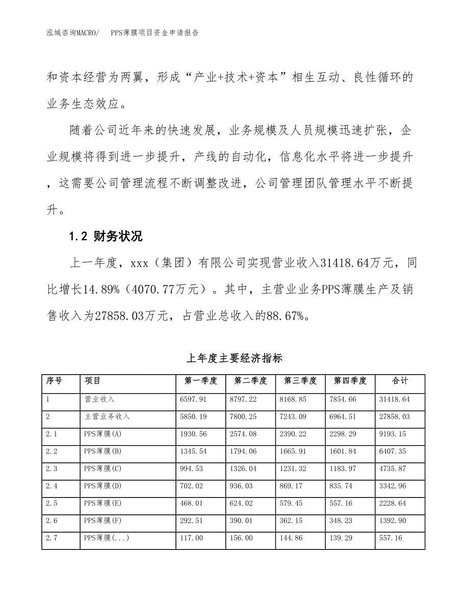 PPS薄膜项目资金申请报告.docx_第5页