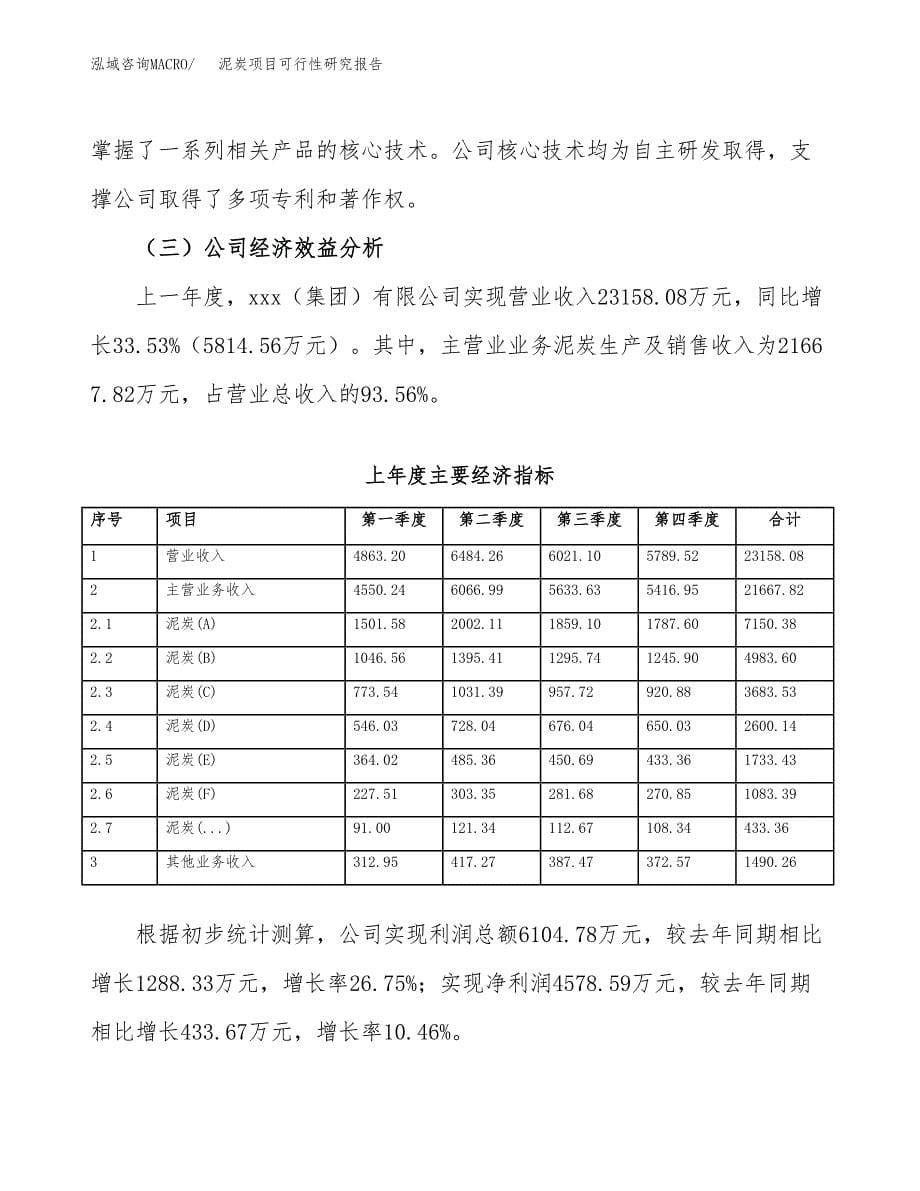 泥炭项目可行性研究报告（总投资20000万元）（88亩）_第5页