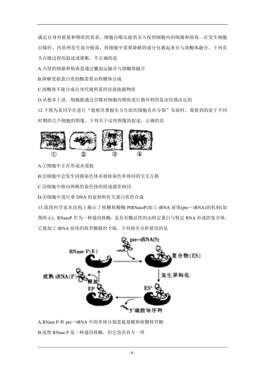 山东省新高考备考监测2020届高三10月联考试题+生物+Word版含答案_第4页