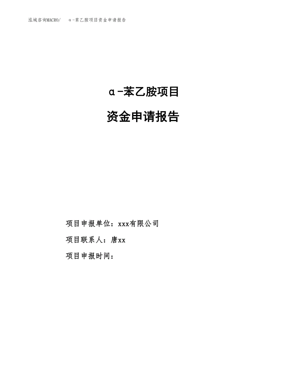 α-苯乙胺项目资金申请报告.docx_第1页