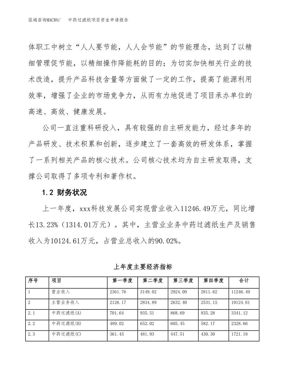 中药过滤纸项目资金申请报告.docx_第5页