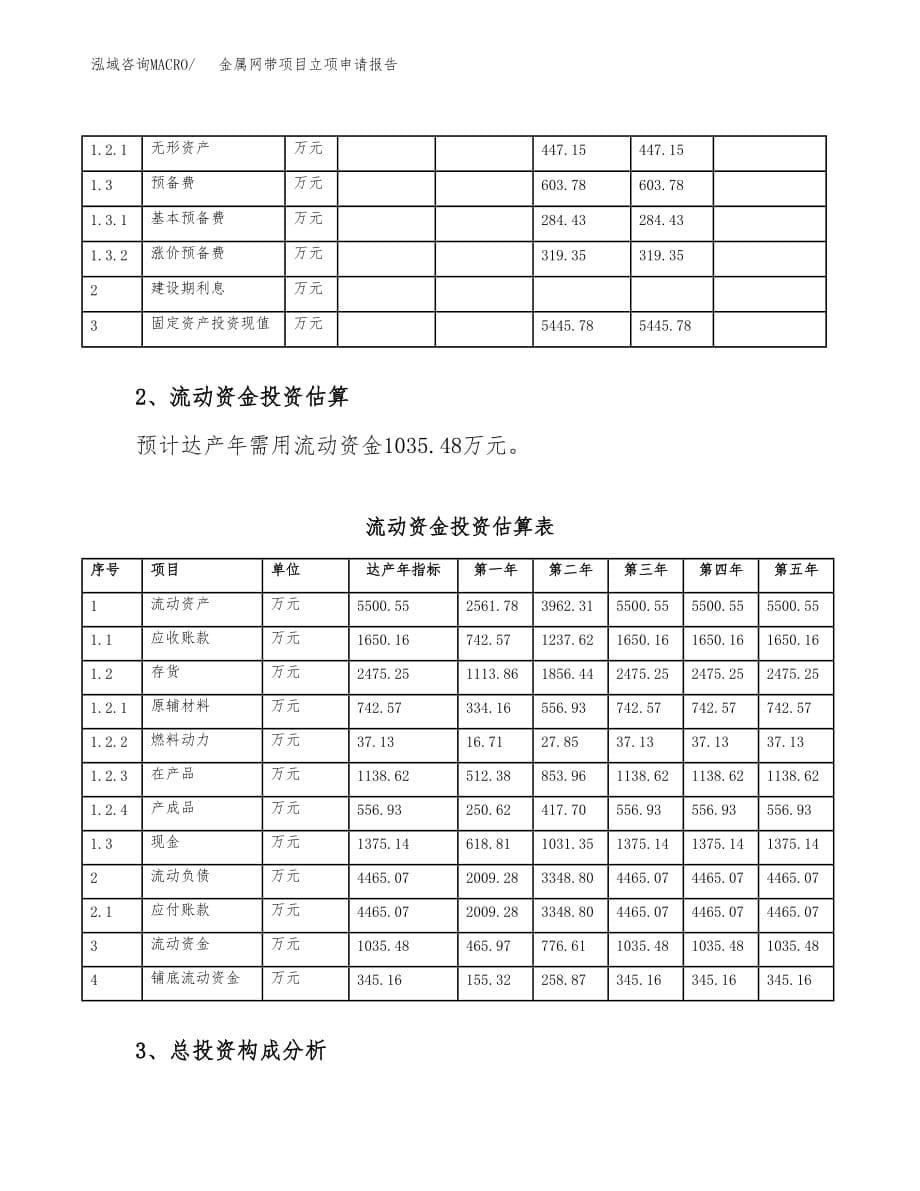 金属网带项目立项申请报告模板（总投资6000万元）_第5页