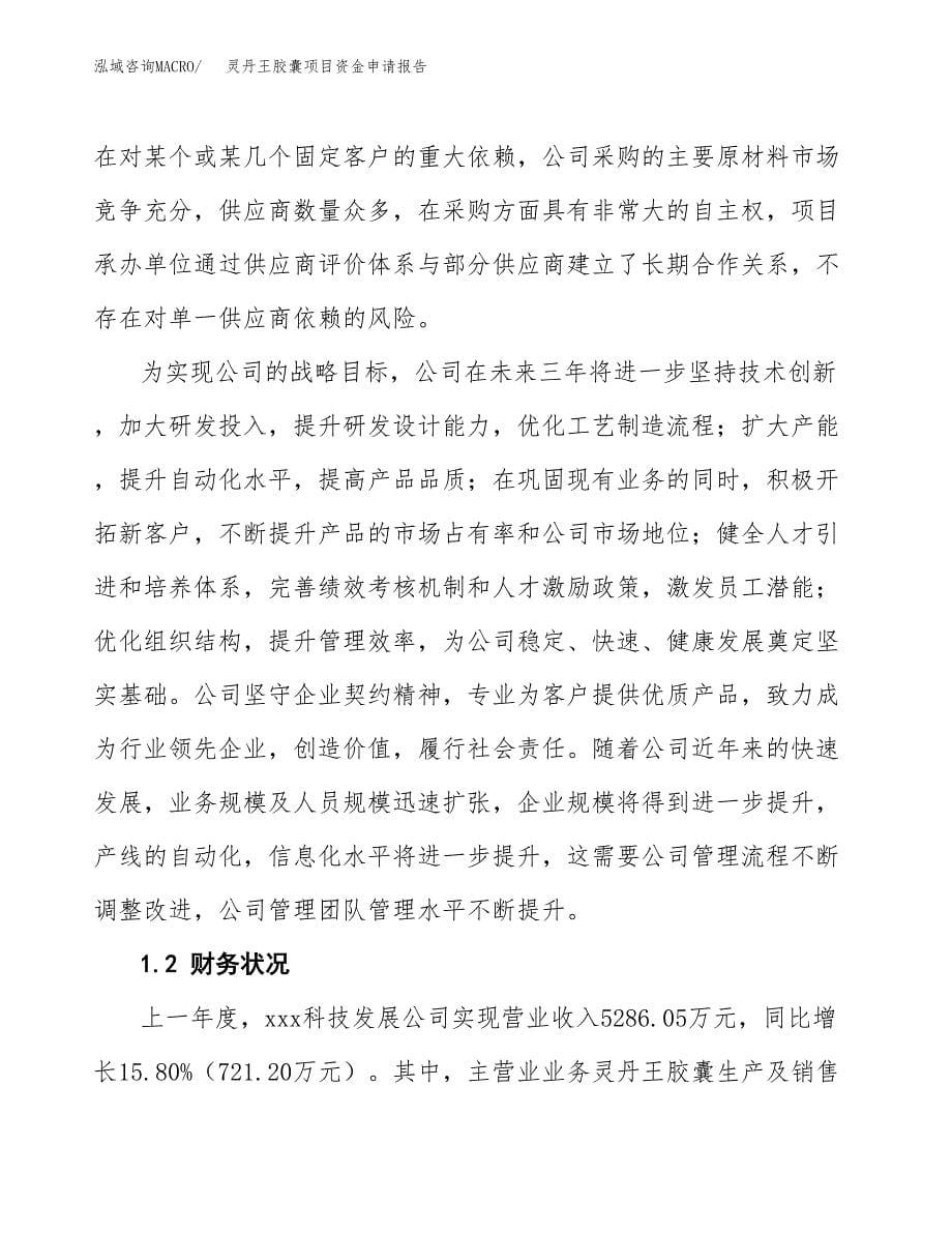 灵丹王胶囊项目资金申请报告.docx_第5页