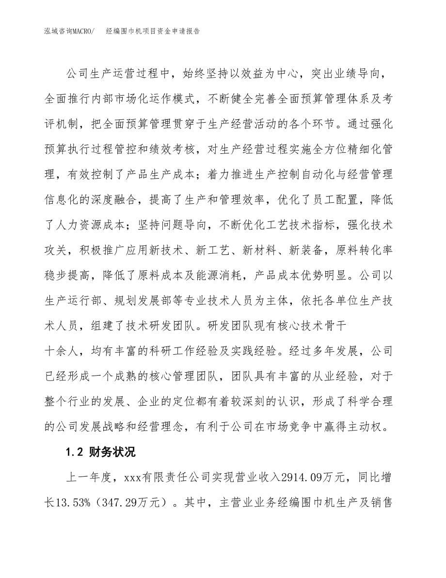 经编围巾机项目资金申请报告.docx_第5页