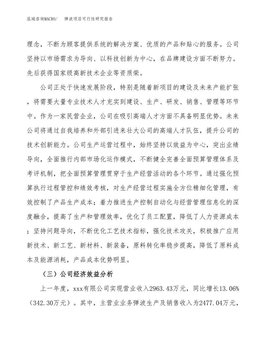 弹波项目可行性研究报告（总投资4000万元）（18亩）_第5页