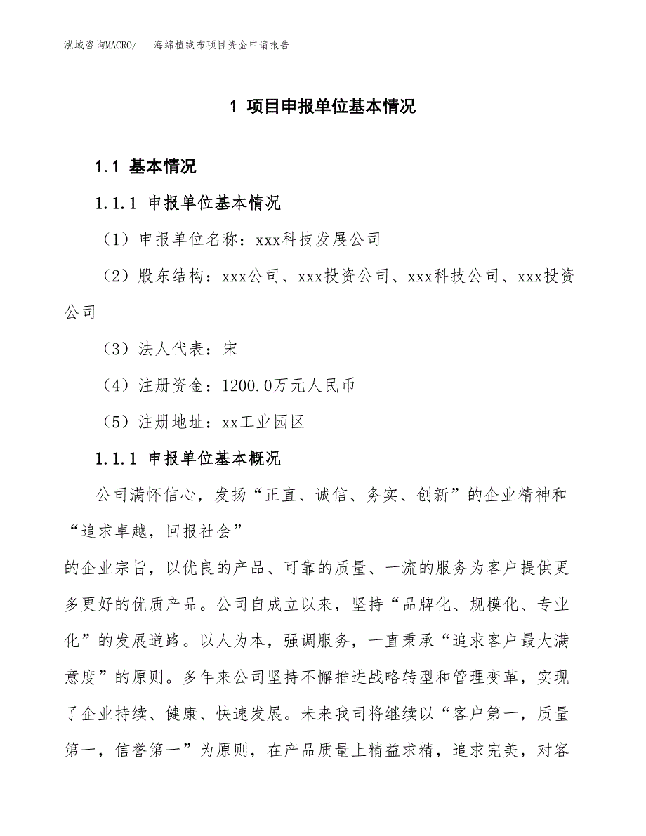 海绵植绒布项目资金申请报告.docx_第3页